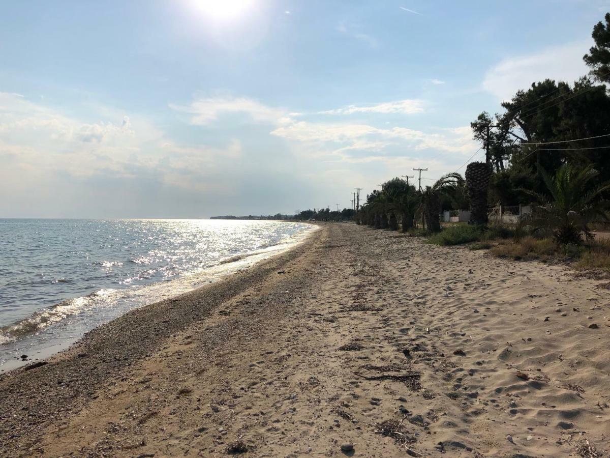 Beachfront Cottage Nea Triglia エクステリア 写真